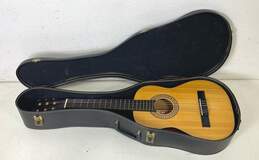 Durango Acoustic Guitar - Durango