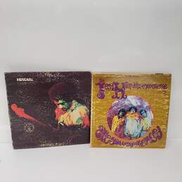 Vintage Collection Jimi Hendrix Experience-2 Vinyl Records-Used Condition