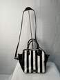 Black and White Striped Betsey Johnson Cross Body Bag image number 1