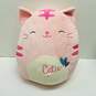 Squishmallow Lot of 4 image number 5