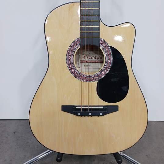 Vizcaya Acoustic Guitar image number 6