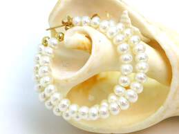 14K Yellow Gold Pearl Hoop Earrings 4.6g