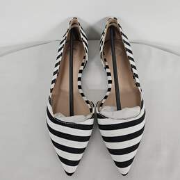 Zebra Stripe Flats