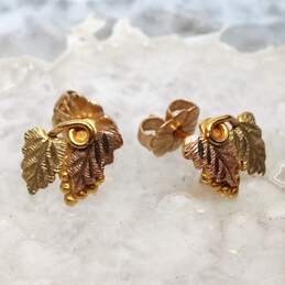 Landstrom's 10K Black Hills Gold Grape Leaf Stud Earrings - 1.0g