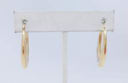 10K Duo Tone Gold Polished Oval Hoop Earrings 1.6g
