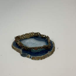 Designer Sorrelli Gold-Tone Unakite Tigers Eye & Jasper Chain Bracelet