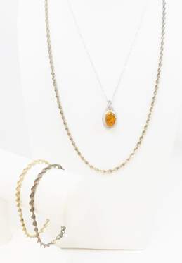Sterling Silver & Vermeil Twisted Rope Chain & Amber Jewelry 23.2g