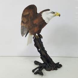 Royal Worcester Birds of Prey Limited Edition Figurine