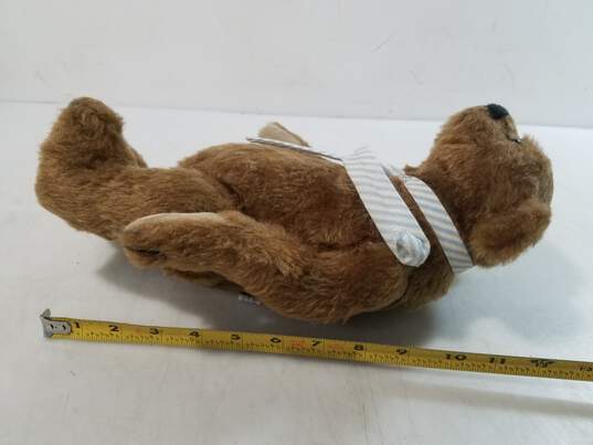 Bearly There 'Zeke' Plush Bear w. Tag image number 3