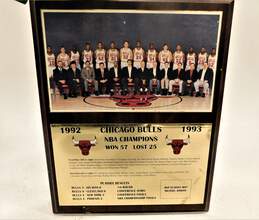 1992-1993 Chicago Bulls NBA Champions Wall Plaque Jordan Pippen