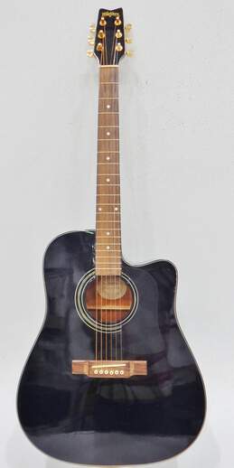 Washburn Brand D100CEB Model Black Acoustic Electric Guitar (Parts and Repair)