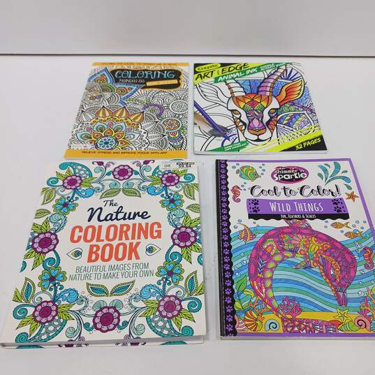 Bundle  of 11 Assorted Coloring Books image number 6