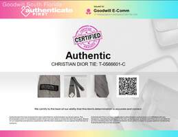 Authentic Christian Dior Mens Gray Multicolor Striped Adjustable Designer Tie alternative image