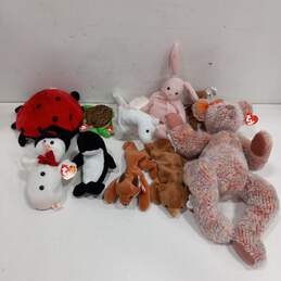 Bundle of Assorted Beanie Babies Toys