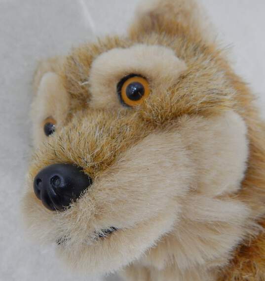 2008 Pleasant Company American Girl Kaya Historical Character Doll W/ Tatlo Wolf Pup Pet image number 3