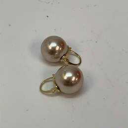 Designer Kate Spade Gold-Tone Fashionable Sea Pearl Drop Earrings alternative image