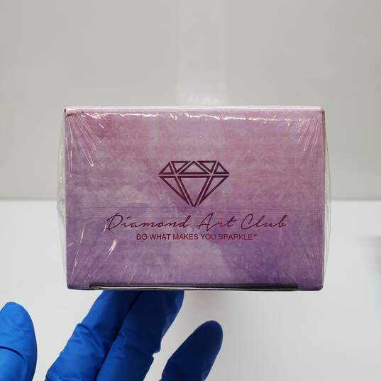 SEALED Diamond Art Club Kit DIY 'CHUPA' 37cmx37cm Round Diamond Shape image number 4