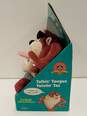 Looney Tunes Taz Tasmanian Devil Stuffed Animals Lot of 2 image number 4