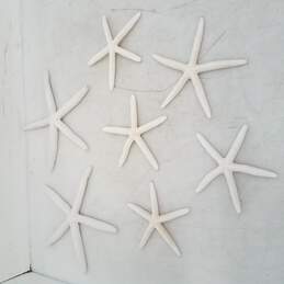 Starfish Home Décor Wall Hanging Decorations Display