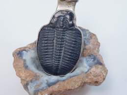 Charles Albert 925 Trilobite & Ammonite Fossils Unique Statement Pendant For Repair 15g alternative image