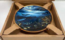 Wyland Limited Edition Set of 2 Collectors 8.5 in Wall Art Plates alternative image