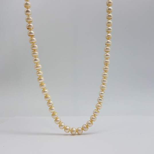 IPS 14k Gold Knotted 6.5mm Fw Pearl 64 Inch Necklace 97.0g image number 1