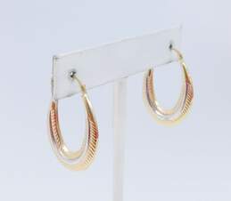 10K Duo Tone Gold Polished Oval Hoop Earrings 1.6g alternative image