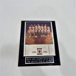 Vintage Chicago Bulls 1995-96 World Champions Wall Plaque