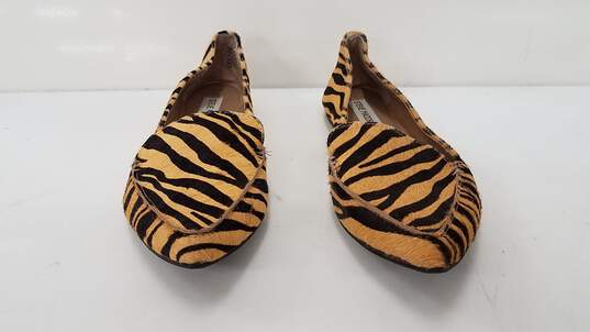 Steve Madden Women's Tiger Stripe Calf Hair Flats Size 7M image number 2
