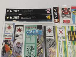10pc Bundle of Assorted Valiant Comic Books
