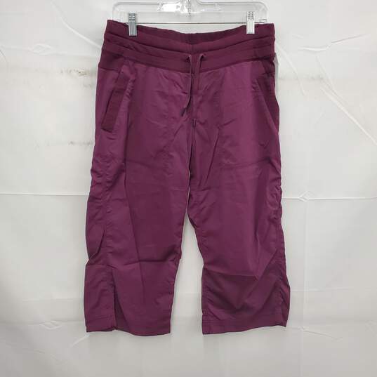 Lululemon WM's Dance Studio Purple Stripe Pants Leggings Size L image number 1