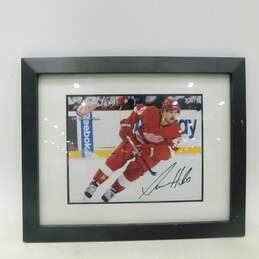 Darren Helm 43 Signed Autographed Framed Detroit Red Wings Hockey Print