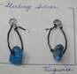Turquoise Fashion Earrings image number 1