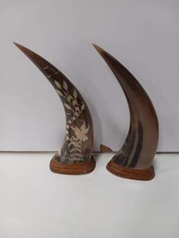 2pc Set of Carved Water Buffalo Horns alternative image