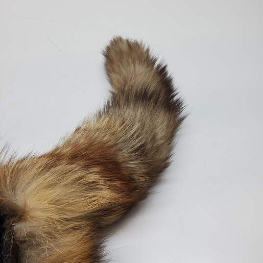 Fur Tail Hat image number 5