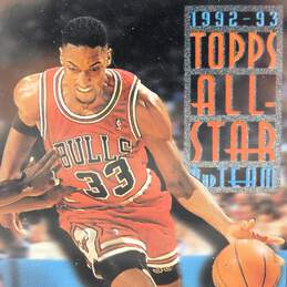 1993-94 HOF Scottie Pippen Topps Gold Chicago Bulls
