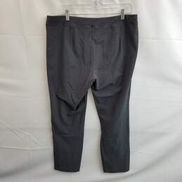 Eileen Fisher Women's Gray Viscose Stretch Pants Size L alternative image