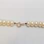 10K Gold Faux Pearl Necklace 36.2g image number 5
