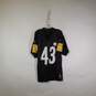 Mens Pittsburg Steelers Troy Polamalu Football-NFL Jersey Size Medium image number 1