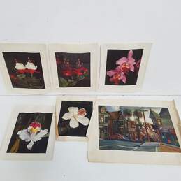 Lot of 6 vintage prints - Edward Arnold Reep - California Street Scene - Walter Foster - Flower Posters