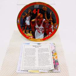 Michael Jordan "Bulls in Five" Bradford Exchange Plate w/ COA