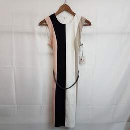 Calvin Klein striped colorblock dress with belt 2 nwt