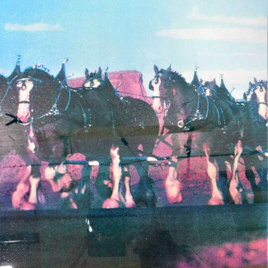 Vintage Anheuser Busch Budweiser Clydesdale Horses Advertising Bar Sign Man Cave Barware Decor image number 3