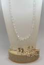 Vintage Silvertone & Goldtone Aurora Borealis Crystals Beaded Necklace & Flower Cluster & Beaded Tassels Drop Clip On Earrings 85.1g image number 1