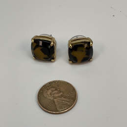 Designer Kate Spade Gold-Tone Shell Tortoise Small Square Stud Earrings alternative image