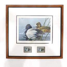 1990 Neal Anderson Federal Duck Stamp Print Framed 3888/20,000