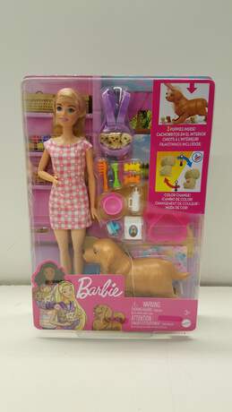 Barbie Doll Newborn Pups Playset with Dog 3 Puppies and Accessories NRFP