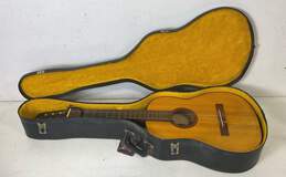 Tatra Acoustic Guitar - Tatra