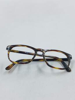 Persol Tortoise Browline Eyeglasses