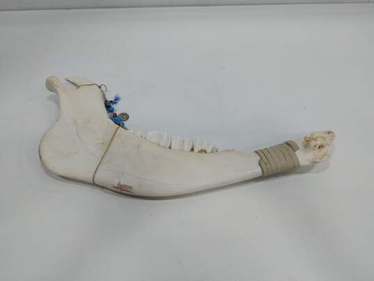 Hand Painted Prong Horn Antelope Jawbone image number 4